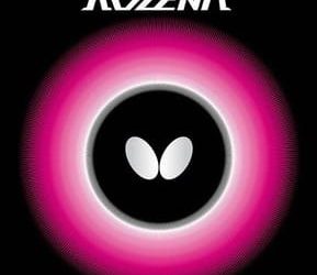 rozena - butterfly